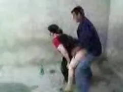 El sexo en la trasti ...