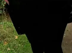Invité a mi amigo a  ...