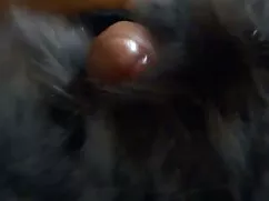 Lexi lesbianas mayor ...