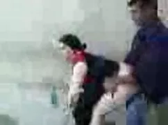 Amigo del lesbianas  ...